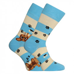 Lustige Socken Dedoles Hunde und Streifen (GMRS123)